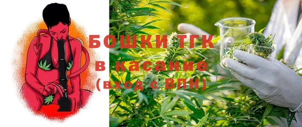 тгк Весьегонск
