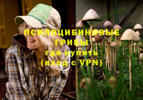 герыч Коряжма