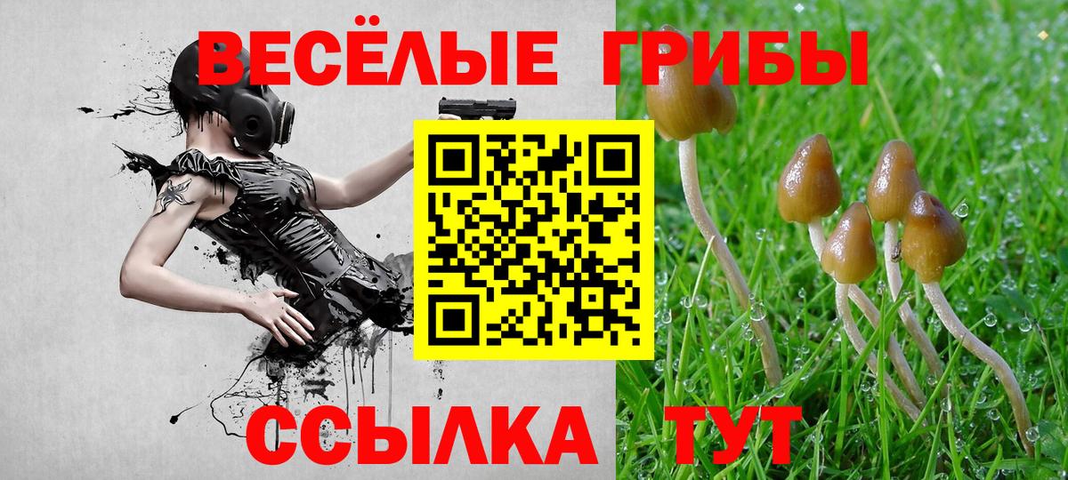 Галлюциногенные грибы GOLDEN TEACHER Павлово
