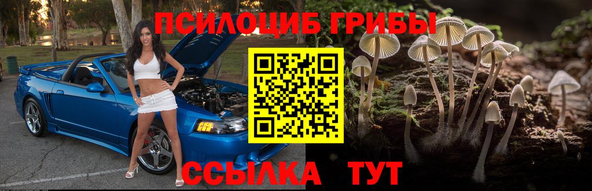 Павлово  где купить наркотик  Вход с VPN  Псилоцибиновые грибы ЛСД  Галлюциногенные грибы прущие грибы 
