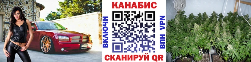 наркотики  Павлово  Каннабис конопля 